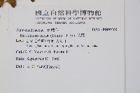 栗蕨藏品圖，第2張