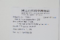 石葦藏品圖，第2張