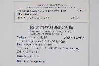 密毛毛蕨藏品圖，第2張