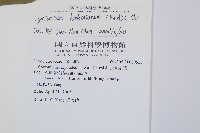 狹葉貫眾蕨藏品圖，第2張