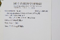 裏白藏品圖，第4張