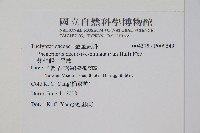 翅軸假金星蕨、短柄卵果蕨藏品圖，第2張
