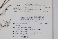 三角葉陵齒蕨、三角葉鱗齒蕨藏品圖，第2張