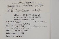 粉葉蕨藏品圖，第2張