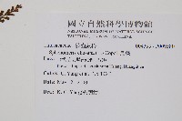 烏蕨藏品圖，第2張