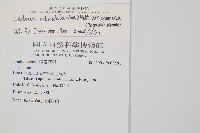 海島陵齒蕨藏品圖，第2張