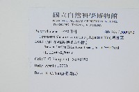 粵瓦葦藏品圖，第2張