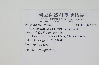 扇蕨藏品圖，第2張