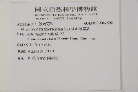 亨氏擬旱蕨藏品圖，第2張