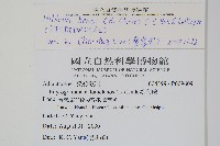 亨氏擬旱蕨藏品圖，第7張