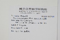 高山金粉蕨藏品圖，第2張