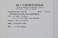 臺灣鱗毛蕨藏品圖，第2張