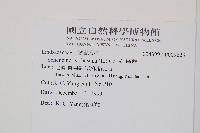 烏蕨藏品圖，第2張