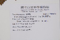 邊緣鱗蓋蕨藏品圖，第2張