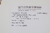 烏蕨藏品圖，第2張