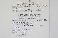 全緣卷柏藏品圖，第2張