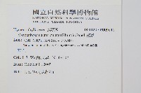 瓶蕨藏品圖，第2張