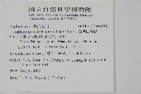 南洋山蘇花藏品圖，第5張