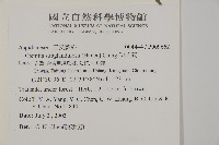 肋毛蕨藏品圖，第2張