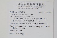 天草鳳尾蕨藏品圖，第2張