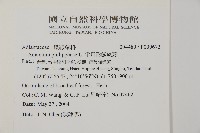 半月形鐵線蕨藏品圖，第2張