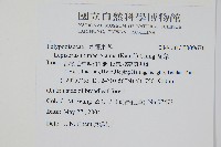 瓦葦藏品圖，第2張