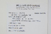 萊蕨藏品圖，第2張