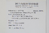 大星蕨藏品圖，第2張