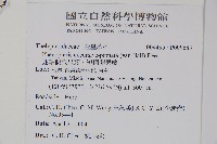 翅軸假金星蕨、短柄卵果蕨藏品圖，第2張