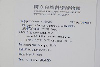 翅軸假金星蕨、短柄卵果蕨藏品圖，第2張