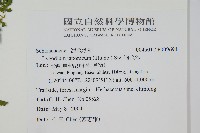 海金沙藏品圖，第1張