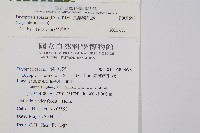 長葉鱗毛蕨藏品圖，第2張