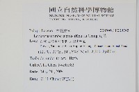 瓦葦藏品圖，第2張