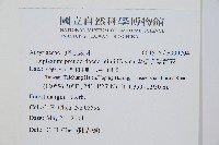 擬德氏雙蓋蕨藏品圖，第2張