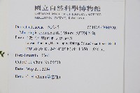 熱帶鱗蓋蕨藏品圖，第2張