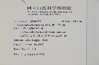 深山鐵角蕨藏品圖，第2張