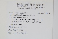 石葦藏品圖，第2張