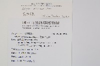 宿蹄蓋蕨藏品圖，第1張