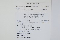 台灣瘤足蕨藏品圖，第2張