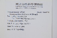 團羽鱗蓋蕨藏品圖，第2張