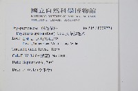 長葉鱗毛蕨藏品圖，第2張