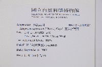 東洋蹄蓋蕨藏品圖，第2張