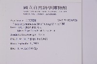 雲南三叉蕨藏品圖，第2張