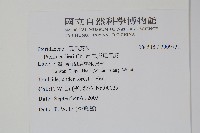 二形鳳尾蕨藏品圖，第2張