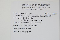 波氏星蕨藏品圖，第2張