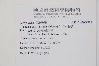 腸蕨藏品圖，第2張