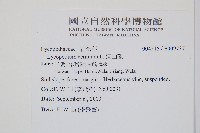 過山龍藏品圖，第2張