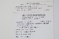 烏來金星蕨、毛柄金星蕨藏品圖，第2張