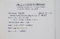 深山雙蓋蕨藏品圖，第2張