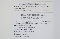 柔葉金星蕨藏品圖，第2張